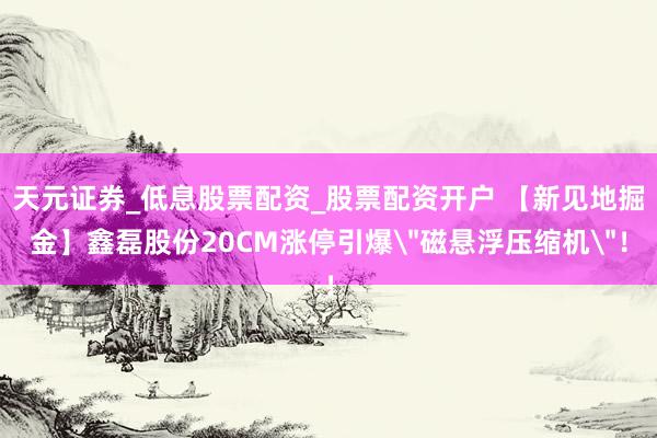 天元证券_低息股票配资_股票配资开户 【新见地掘金】鑫磊股份20CM涨停引爆＂磁悬浮压缩机＂！