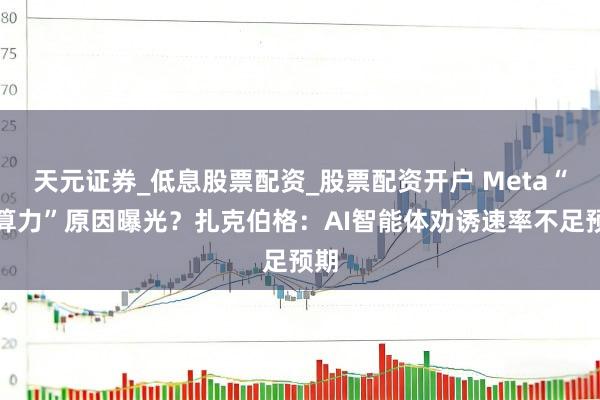 天元证券_低息股票配资_股票配资开户 Meta“卖算力”原因曝光？扎克伯格：AI智能体劝诱速率不足预期