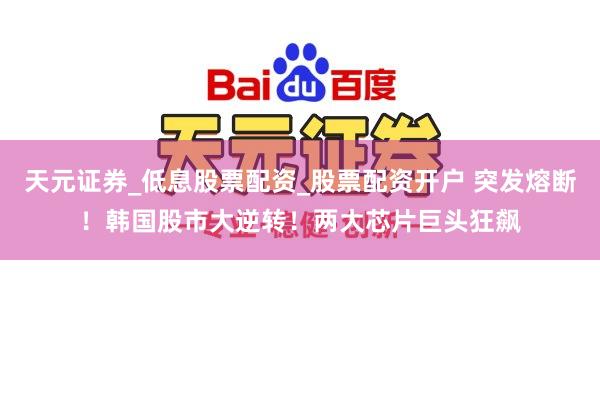 天元证券_低息股票配资_股票配资开户 突发熔断！韩国股市大逆转！两大芯片巨头狂飙