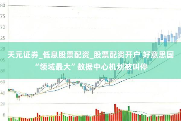 天元证券_低息股票配资_股票配资开户 好意思国“领域最大”数据中心机划被叫停