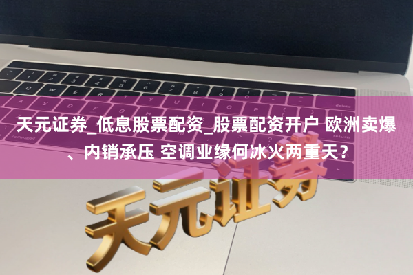 天元证券_低息股票配资_股票配资开户 欧洲卖爆、内销承压 空调业缘何冰火两重天？