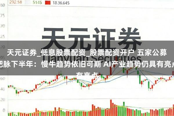 天元证券_低息股票配资_股票配资开户 五家公募把脉下半年：慢牛趋势依旧可期 AI产业趋势仍具有亮点