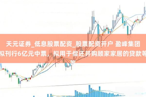 天元证券_低息股票配资_股票配资开户 盈峰集团拟刊行6亿元中票，拟用于偿还并购顾家家居的贷款等