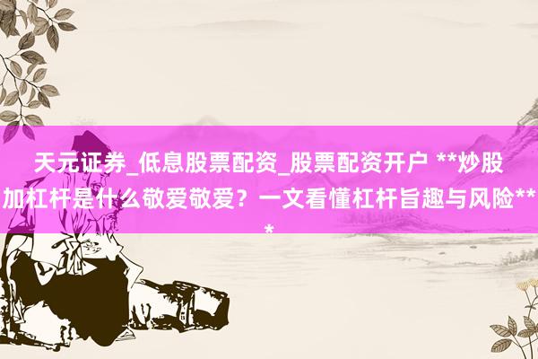 天元证券_低息股票配资_股票配资开户 **炒股加杠杆是什么敬爱敬爱？一文看懂杠杆旨趣与风险**
