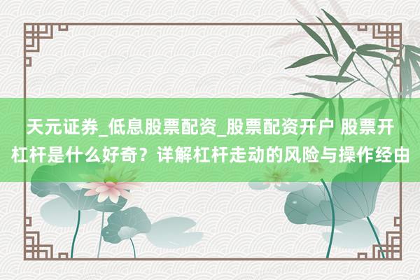 天元证券_低息股票配资_股票配资开户 股票开杠杆是什么好奇？详解杠杆走动的风险与操作经由